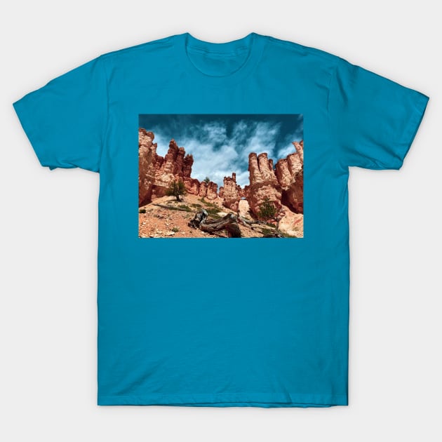 Brice Canyon T-Shirt by See Blakes